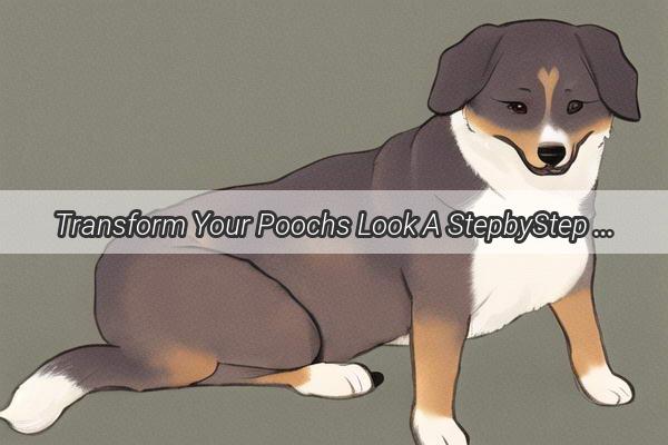 Transform Your Poochs Look A StepbyStep Guide to Dog Grooming and Styling Success